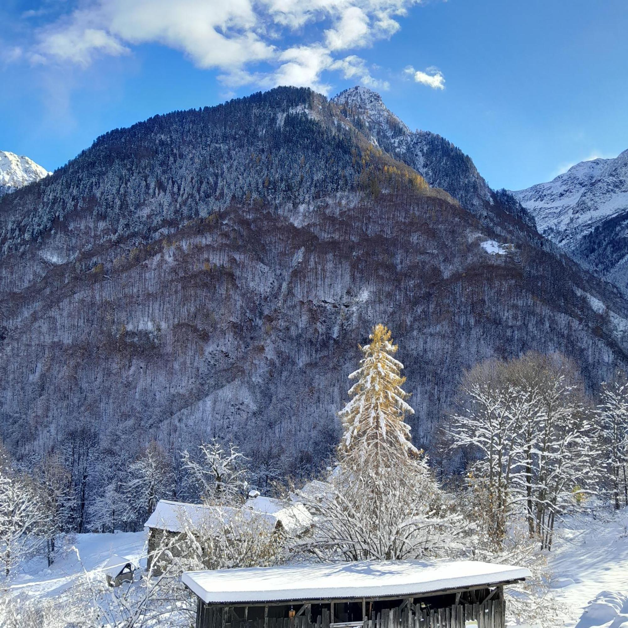 Casa All'Alpe Gaggetto B & B Anzino Zewnętrze zdjęcie