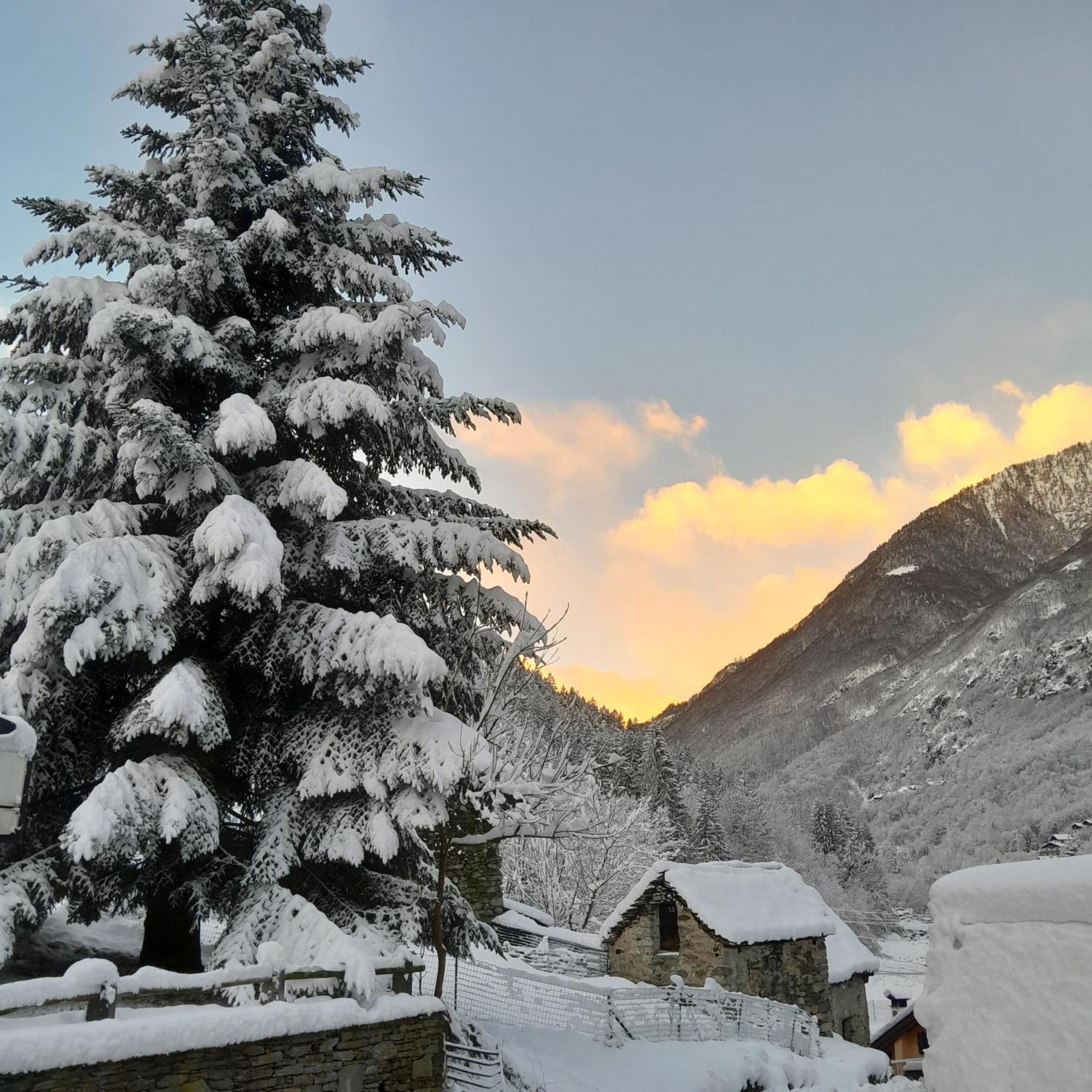 Casa All'Alpe Gaggetto B & B Anzino Zewnętrze zdjęcie